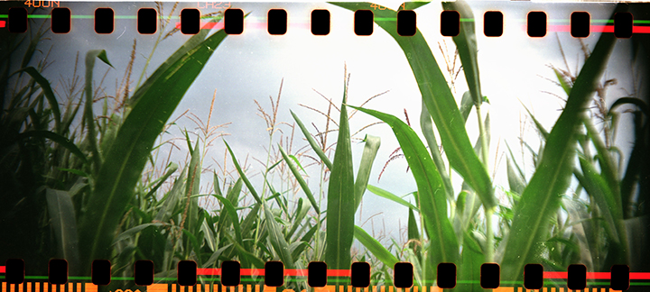 Sprocket Rocket Photo