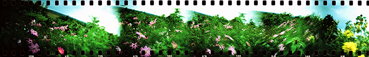 Sprocket Rocket Photo