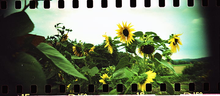 Sprocket Rocket Photo