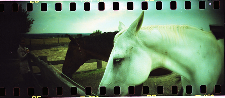 Sprocket Rocket Photo